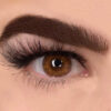 𝐏𝐮𝐩𝐢𝐥𝐞𝐧𝐭𝐞𝐬 𝐅𝐫𝐞𝐬𝐡𝐭𝐨𝐧𝐞 👁️ ‼️Tono : Brown (Blends - Imagen 2